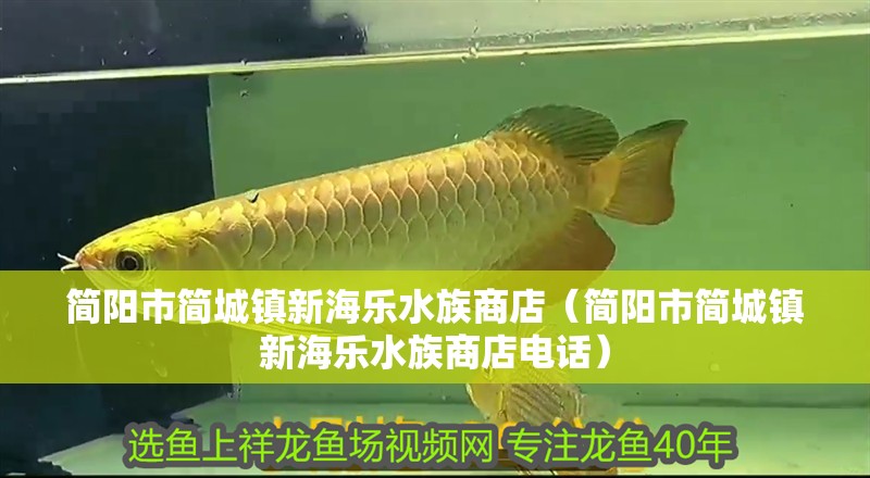 簡(jiǎn)陽(yáng)市簡(jiǎn)城鎮(zhèn)新海樂(lè)水族商店（簡(jiǎn)陽(yáng)市簡(jiǎn)城鎮(zhèn)新海樂(lè)水族商店電話）
