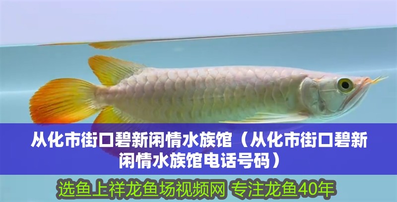 從化市街口碧新閑情水族館（從化市街口碧新閑情水族館電話號碼） 從化市街口碧新閑情水族館（從化市街口碧新閑情水族館電話號碼） 全國水族館企業名錄 第3張