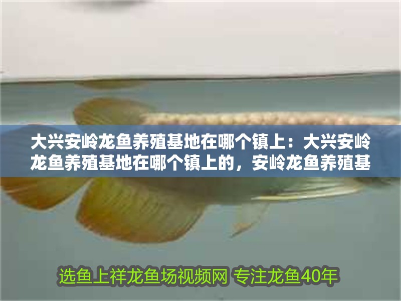 大興安嶺龍魚養殖基地在哪個鎮上：大興安嶺龍魚養殖基地在哪個鎮上的，安嶺龍魚養殖基地位置揭秘，位于哪個鎮上？