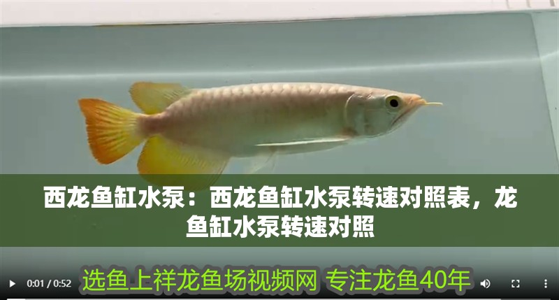 西龍魚缸水泵：西龍魚缸水泵轉速對照表，龍魚缸水泵轉速對照