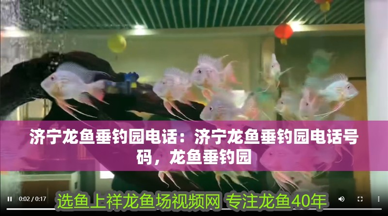 濟寧龍魚垂釣園電話：濟寧龍魚垂釣園電話號碼，龍魚垂釣園 濟寧龍魚垂釣園電話：濟寧龍魚垂釣園電話號碼，龍魚垂釣園 水族問答