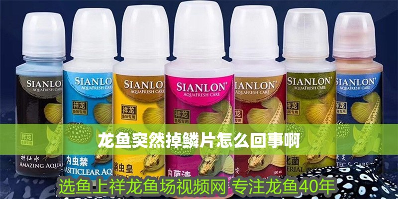 龍魚突然掉鱗片怎么回事啊