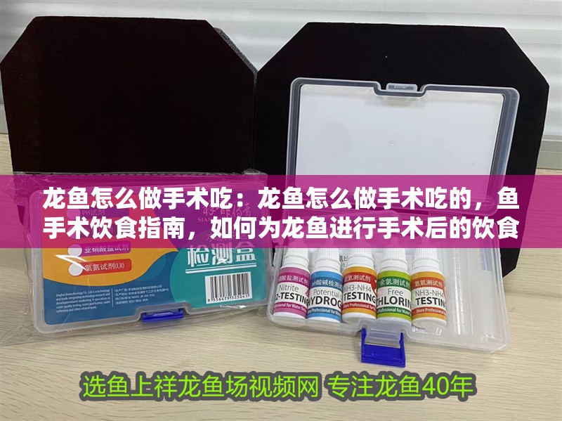 龍魚怎么做手術吃：龍魚怎么做手術吃的，魚手術飲食指南，如何為龍魚進行手術后的飲食安排