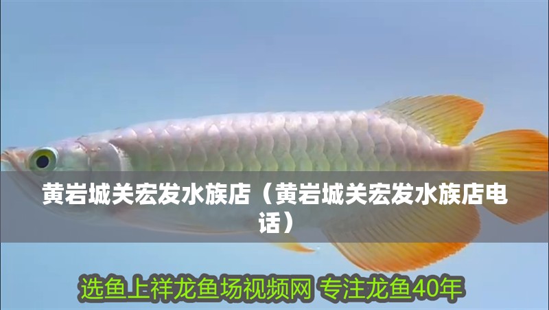 黃巖城關宏發水族店（黃巖城關宏發水族店電話）