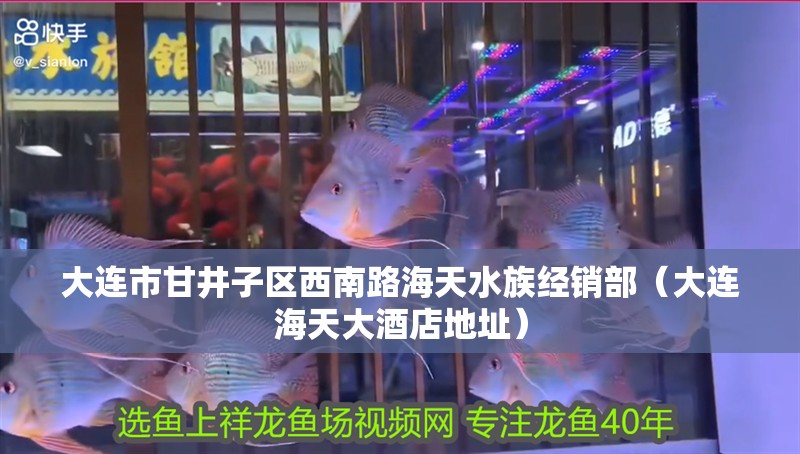 大連市甘井子區西南路海天水族經銷部（大連海天大酒店地址） 大連市甘井子區西南路海天水族經銷部（大連海天大酒店地址） 全國水族館企業名錄 第2張