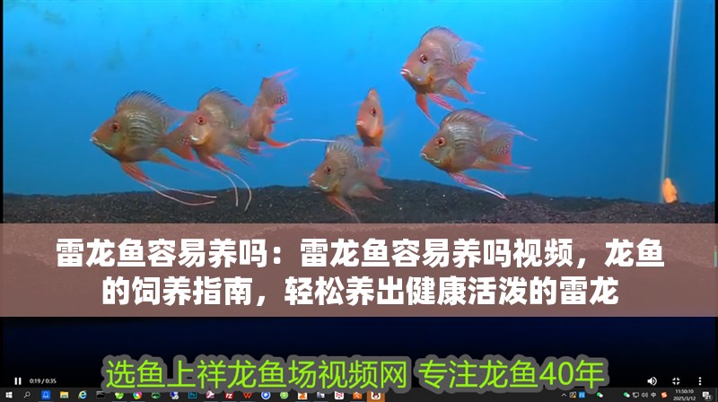 詳細閱讀:雷龍魚容易養嗎:雷龍魚容易養嗎視頻,龍魚的飼養指南,輕松養出健康活潑的雷龍 雷龍魚容易養嗎:雷龍魚容易養嗎視頻,龍魚的飼養指南,輕松養出健康活潑的雷龍