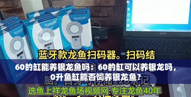 60的缸能養(yǎng)銀龍魚嗎：60的缸可以養(yǎng)銀龍嗎，0升魚缸能否飼養(yǎng)銀龍魚？