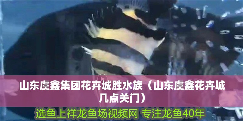 山東虞鑫集團花卉城勝水族（山東虞鑫花卉城幾點關門）
