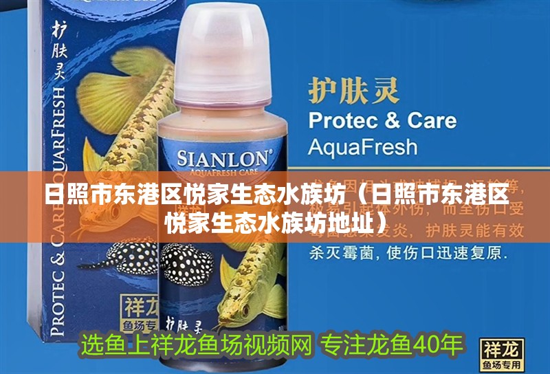 日照市東港區悅家生態水族坊(日照市東港區悅家生態水族坊地址) 全國水族館企業名錄 第2張 日照市東港區悅家生態水族坊(日照市東港區悅家生態水族坊地址) 日照市東港區悅家生態水族坊(日照市東港區悅家生態水族坊地址) 全國水族館企業名錄 第2張