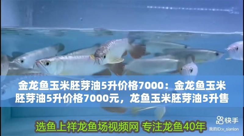 金龍魚玉米胚芽油5升價(jià)格7000：金龍魚玉米胚芽油5升價(jià)格7000元，龍魚玉米胚芽油5升售價(jià)7000元