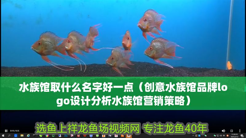 水族館取什么名字好一點（創意水族館品牌logo設計分析水族館營銷策略）