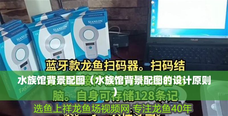 水族館背景配圖（水族館背景配圖的設計原則）