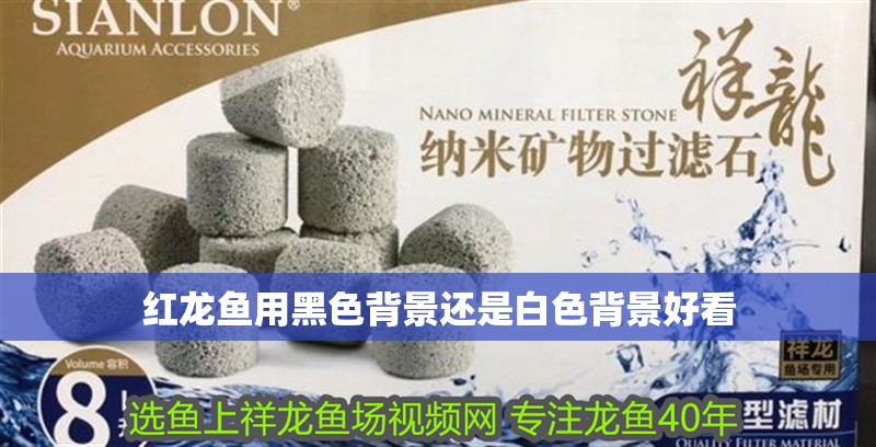 紅龍魚用黑色背景還是白色背景好看