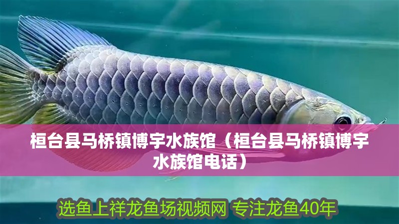 桓臺(tái)縣馬橋鎮(zhèn)博宇水族館（桓臺(tái)縣馬橋鎮(zhèn)博宇水族館電話） 桓臺(tái)縣馬橋鎮(zhèn)博宇水族館（桓臺(tái)縣馬橋鎮(zhèn)博宇水族館電話） 全國(guó)水族館企業(yè)名錄 第2張
