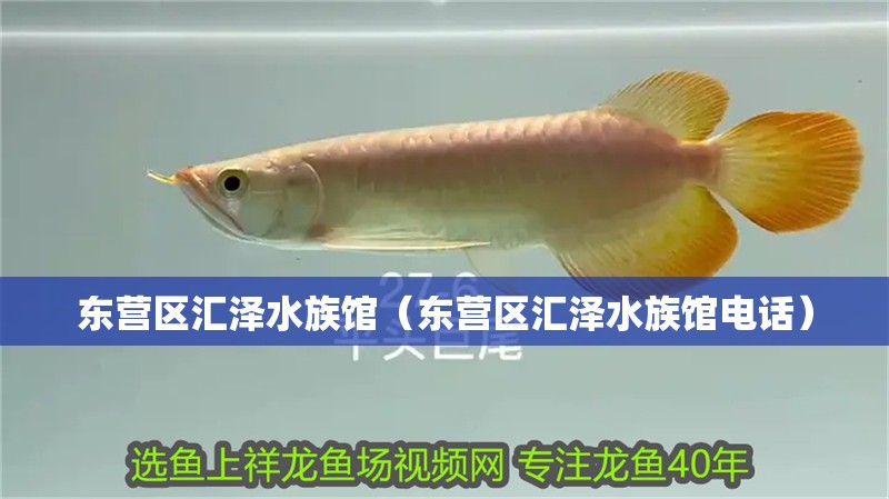 東營區匯澤水族館（東營區匯澤水族館電話） 東營區匯澤水族館（東營區匯澤水族館電話） 全國水族館企業名錄 第2張