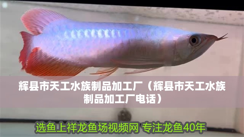 輝縣市天工水族制品加工廠（輝縣市天工水族制品加工廠電話）