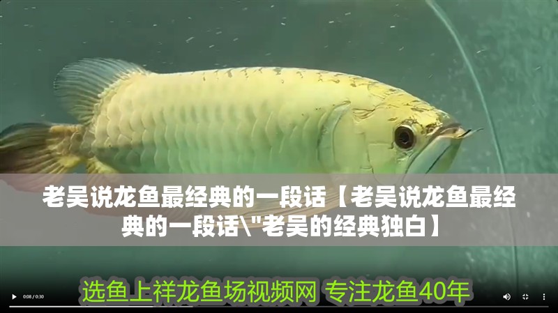 老吳說龍魚最經(jīng)典的一段話【老吳說龍魚最經(jīng)典的一段話\