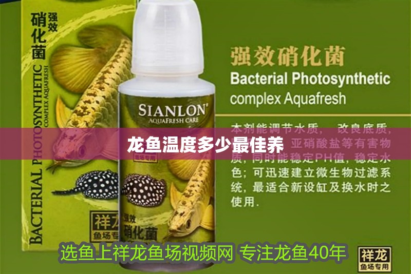 龍魚溫度多少最佳養