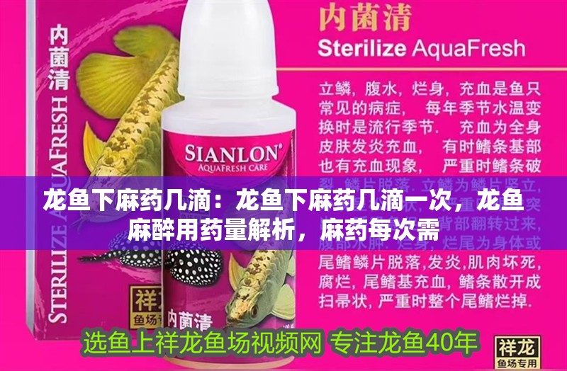 龍魚下麻藥幾滴：龍魚下麻藥幾滴一次，龍魚麻醉用藥量解析，麻藥每次需 龍魚下麻藥幾滴：龍魚下麻藥幾滴一次，龍魚麻醉用藥量解析，麻藥每次需 水族問答