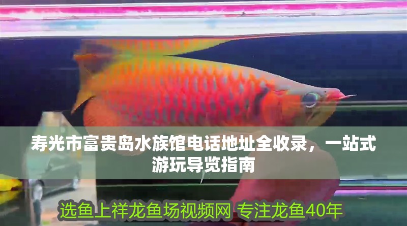 壽光市富貴島水族館電話地址全收錄，一站式游玩導(dǎo)覽指南 壽光市富貴島水族館電話地址全收錄，一站式游玩導(dǎo)覽指南 全國水族館企業(yè)名錄 第2張