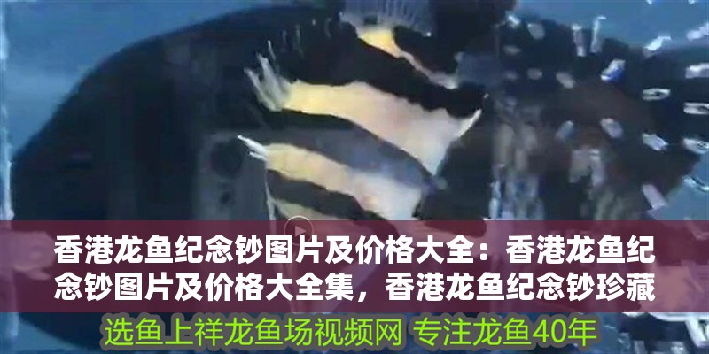 香港龍魚紀念鈔圖片及價格大全：香港龍魚紀念鈔圖片及價格大全集，香港龍魚紀念鈔珍藏圖鑒，高清版