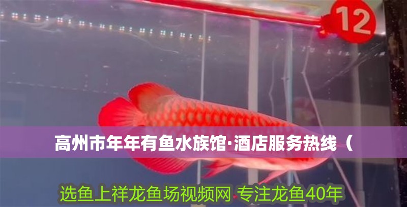高州市年年有魚水族館·酒店服務熱線（
