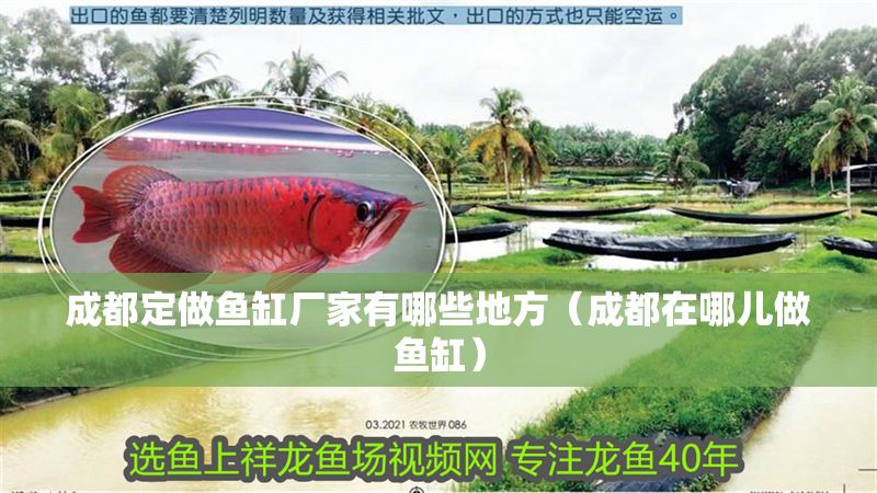 成都定做魚缸廠家有哪些地方（成都在哪兒做魚缸） 成都定做魚缸廠家有哪些地方（成都在哪兒做魚缸） 金龍魚百科 第1張