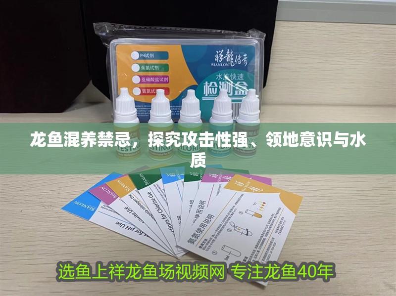 龍魚混養禁忌，探究攻擊性強、領地意識與水質