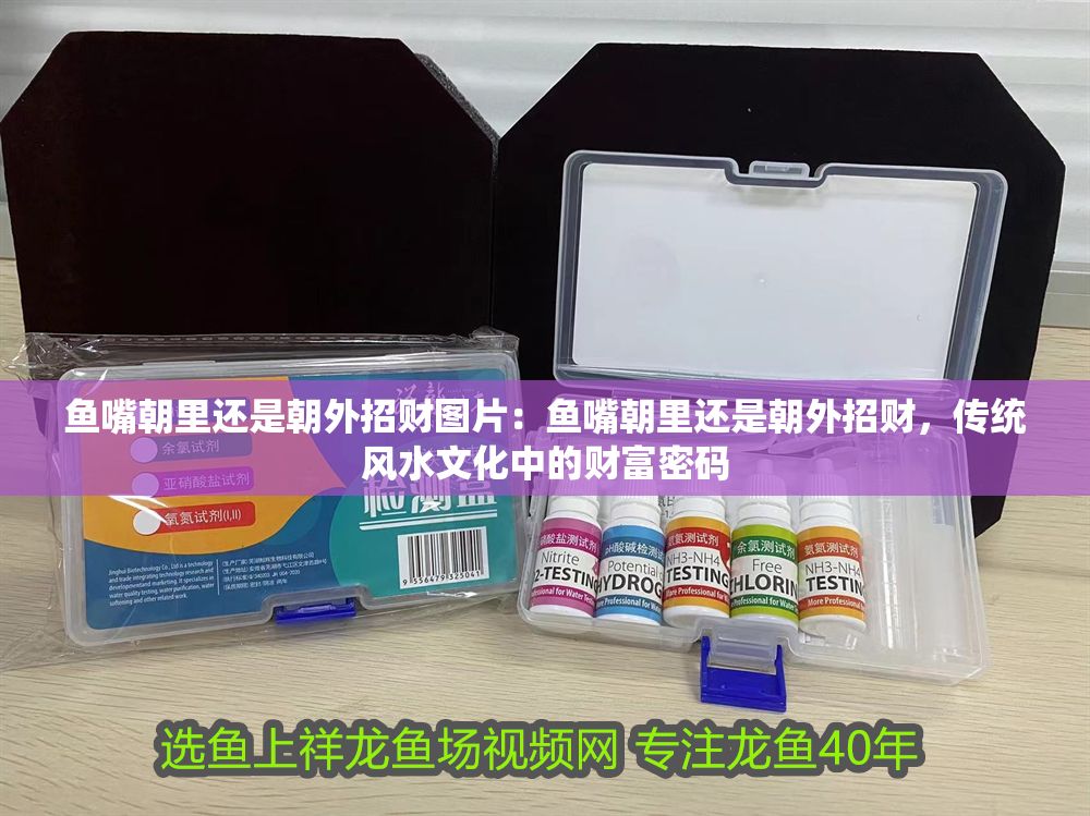 魚嘴朝里還是朝外招財圖片：魚嘴朝里還是朝外招財，傳統風水文化中的財富密碼