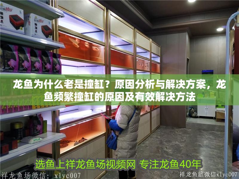 龍魚為什么老是撞缸？原因分析與解決方案，龍魚頻繁撞缸的原因及有效解決方法 龍魚為什么老是撞缸？原因分析與解決方案，龍魚頻繁撞缸的原因及有效解決方法 龍魚常見疾病 第1張