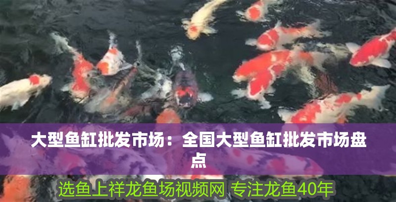 大型魚缸批發(fā)市場(chǎng)：全國大型魚缸批發(fā)市場(chǎng)盤點(diǎn)