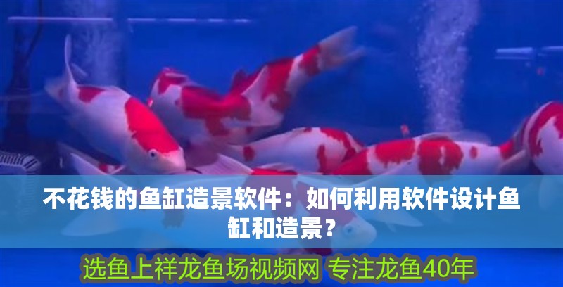 不花錢的魚缸造景軟件：如何利用軟件設計魚缸和造景？