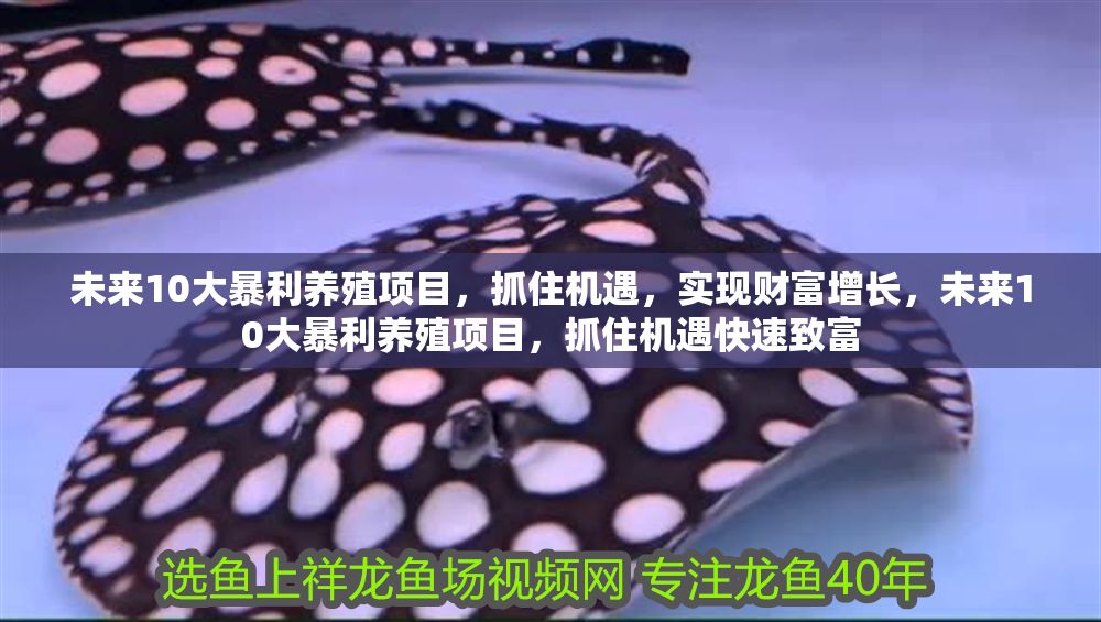 未來10大暴利養殖項目，抓住機遇，實現財富增長，未來10大暴利養殖項目，抓住機遇快速致富 未來10大暴利養殖項目，抓住機遇，實現財富增長，未來10大暴利養殖項目，抓住機遇快速致富 龍魚百科 第1張
