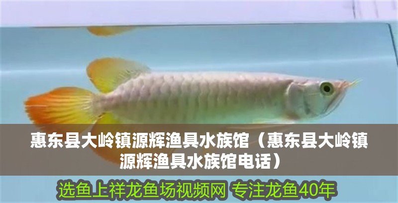 惠東縣大嶺鎮(zhèn)源輝漁具水族館（惠東縣大嶺鎮(zhèn)源輝漁具水族館電話）