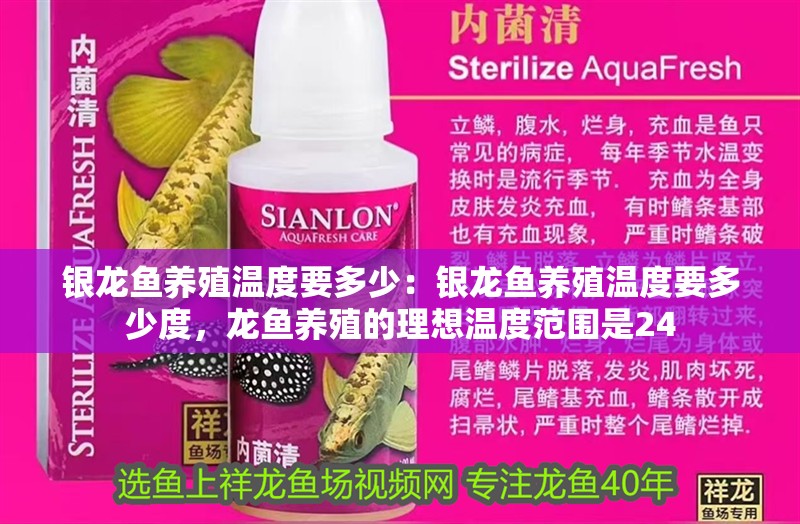 銀龍魚養(yǎng)殖溫度要多少：銀龍魚養(yǎng)殖溫度要多少度，龍魚養(yǎng)殖的理想溫度范圍是24