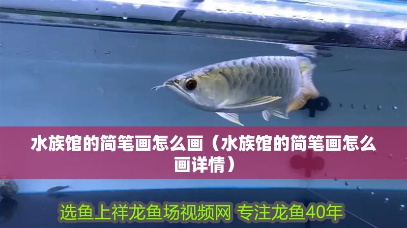 水族館的簡筆畫怎么畫（水族館的簡筆畫怎么畫詳情） 水族館的簡筆畫怎么畫（水族館的簡筆畫怎么畫詳情） 水族館百科（水族館加盟） 第1張