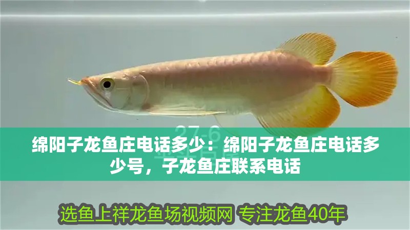 綿陽子龍魚莊電話多少：綿陽子龍魚莊電話多少號，子龍魚莊聯(lián)系電話