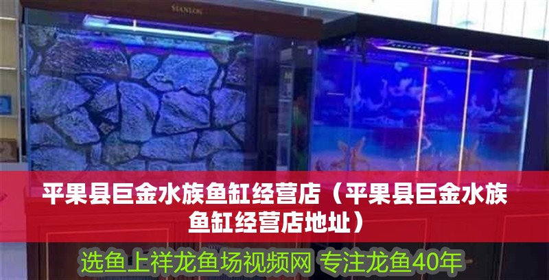 平果縣巨金水族魚(yú)缸經(jīng)營(yíng)店（平果縣巨金水族魚(yú)缸經(jīng)營(yíng)店地址）