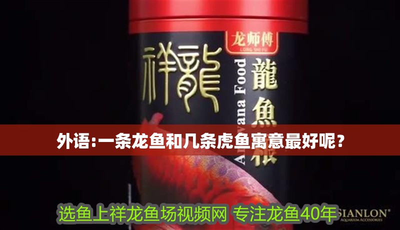 外語:一條龍魚和幾條虎魚寓意最好呢？
