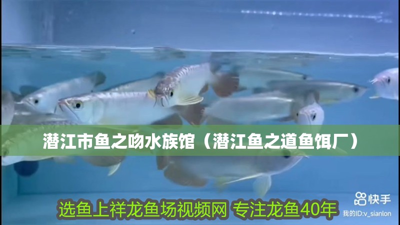 潛江市魚之吻水族館（潛江魚之道魚餌廠）