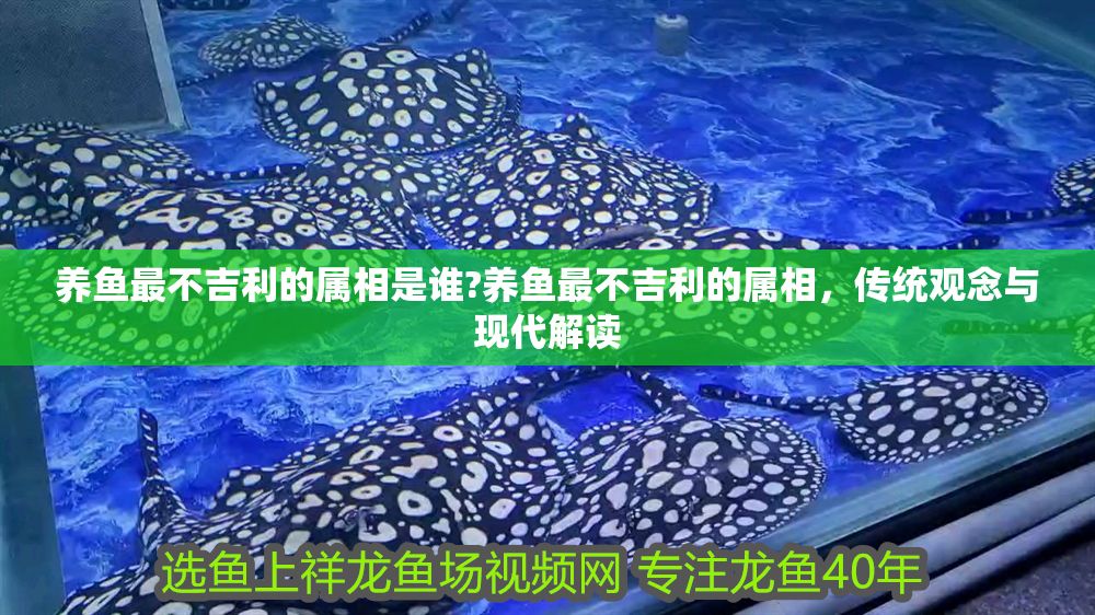 養魚最不吉利的屬相是誰?養魚最不吉利的屬相，傳統觀念與現代解讀