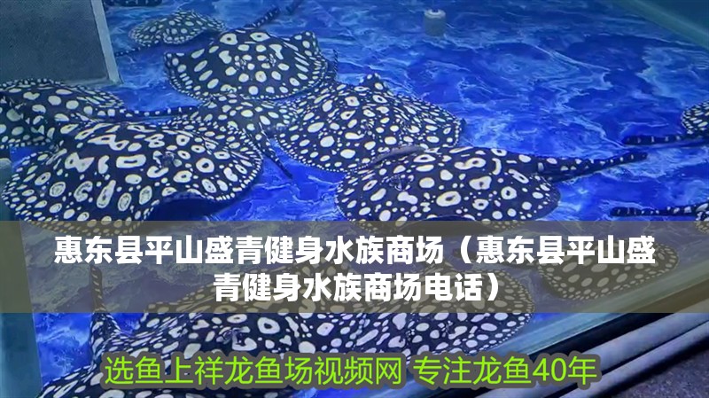 惠東縣平山盛青健身水族商場（惠東縣平山盛青健身水族商場電話）