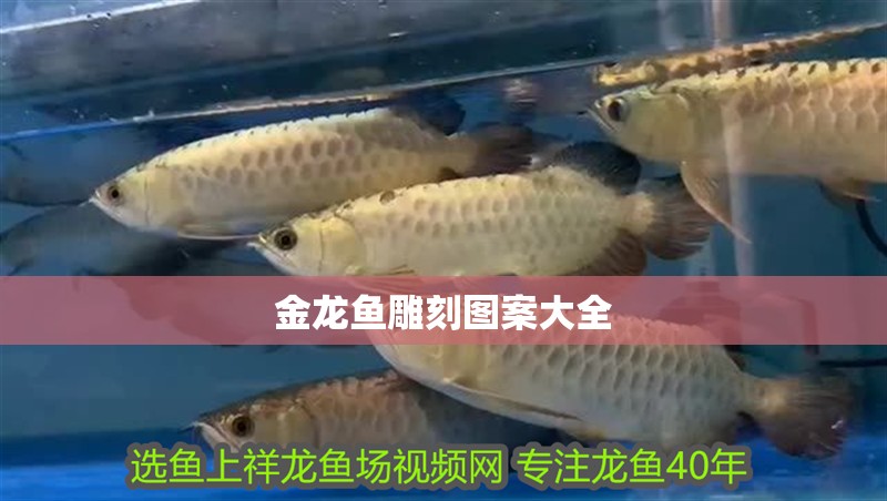 金龍魚雕刻圖案大全
