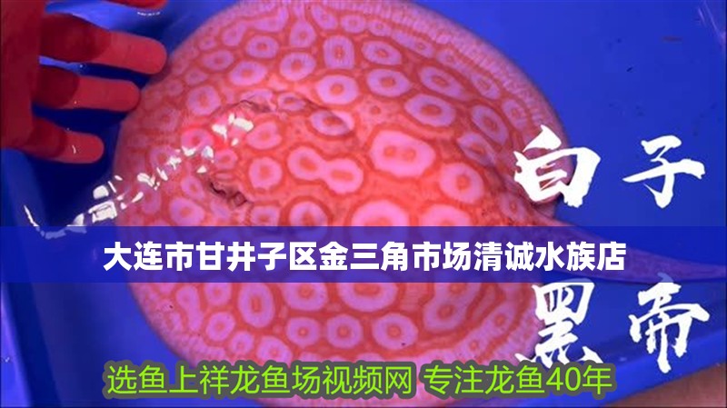 大連市甘井子區金三角市場清誠水族店 大連市甘井子區金三角市場清誠水族店 全國水族館企業名錄 第2張