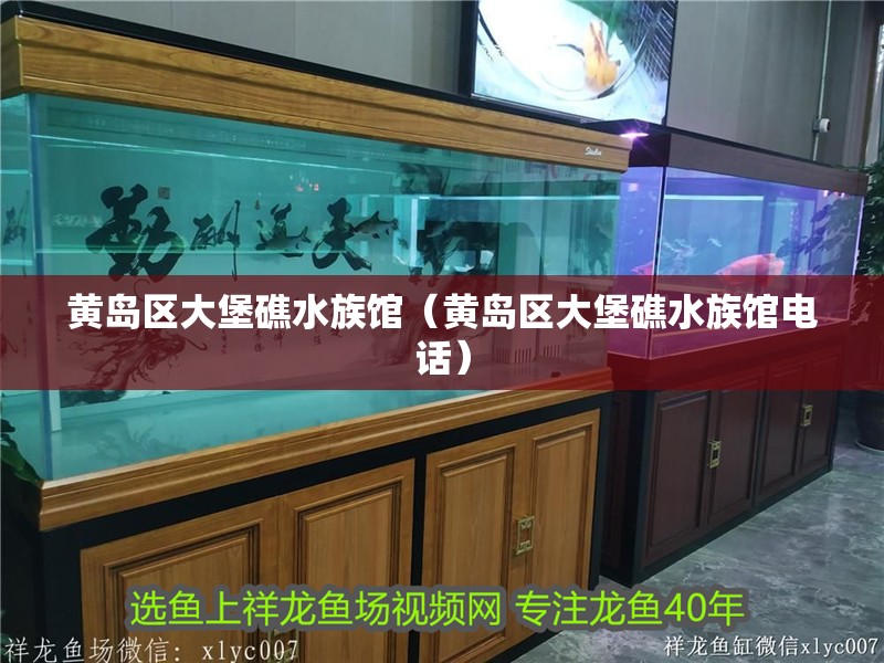 黃島區大堡礁水族館（黃島區大堡礁水族館電話）