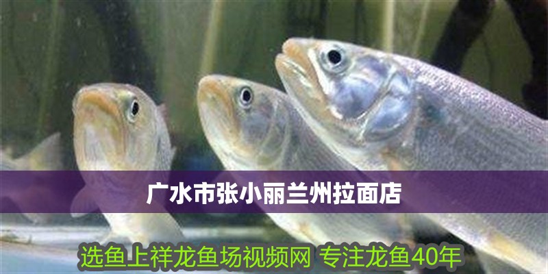 廣水市張小麗蘭州拉面店 廣水市張小麗蘭州拉面店 全國水族館企業名錄 第2張