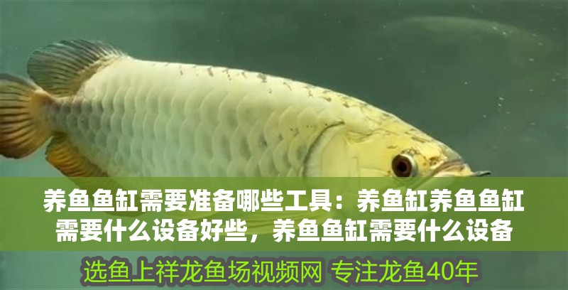 養魚魚缸需要準備哪些工具：養魚缸養魚魚缸需要什么設備好些，養魚魚缸需要什么設備
