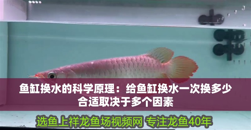 魚(yú)缸換水的科學(xué)原理：給魚(yú)缸換水一次換多少合適取決于多個(gè)因素 魚(yú)缸換水的科學(xué)原理：給魚(yú)缸換水一次換多少合適取決于多個(gè)因素 魚(yú)缸百科