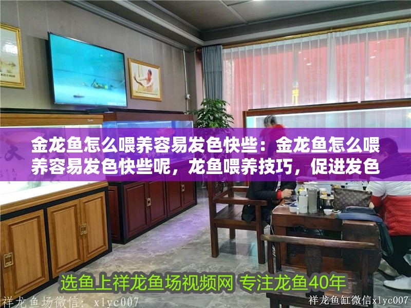 金龍魚怎么喂養容易發色快些：金龍魚怎么喂養容易發色快些呢，龍魚喂養技巧，促進發色與