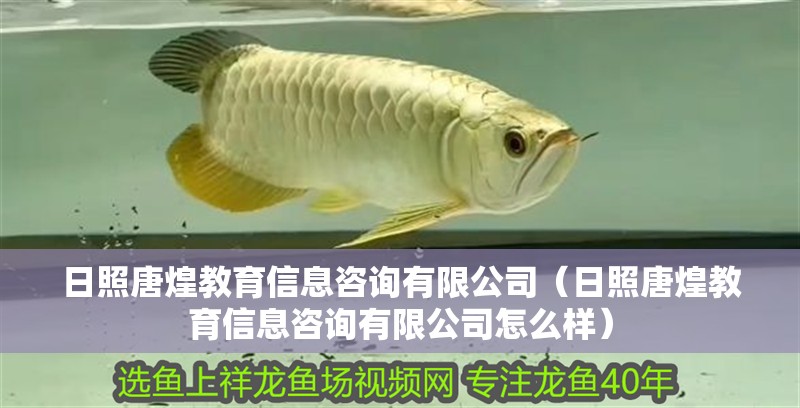 日照唐煌教育信息咨詢有限公司（日照唐煌教育信息咨詢有限公司怎么樣） 日照唐煌教育信息咨詢有限公司（日照唐煌教育信息咨詢有限公司怎么樣） 全國水族館企業名錄 第2張